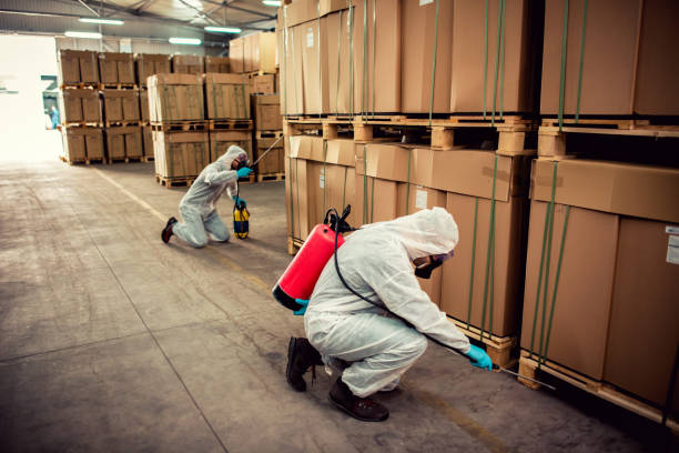 Best Exterminator Services  in Eddyville, IA