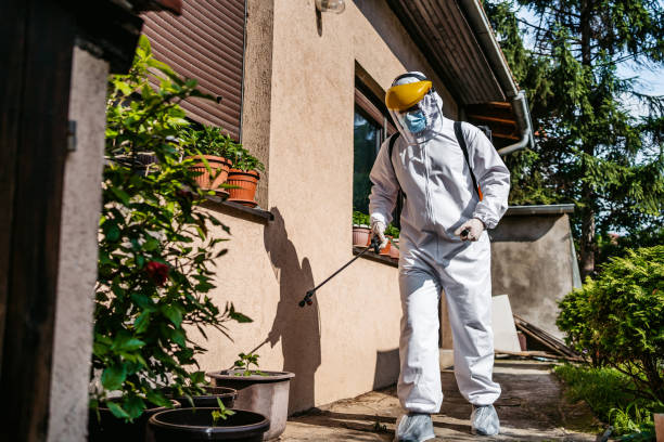 Best Pest Removal Services  in Eddyville, IA