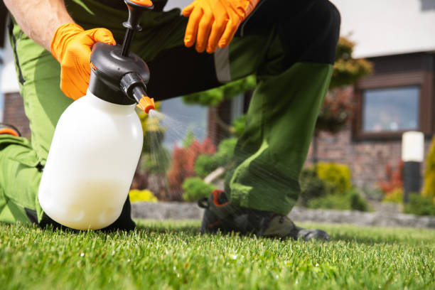 Best Pest Removal Services  in Eddyville, IA