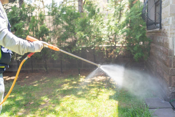 Professional Pest Control in Eddyville, IA