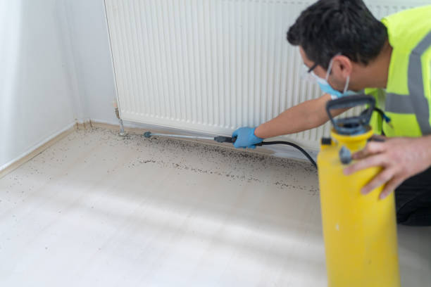 Best Affordable Pest Control Services  in Eddyville, IA
